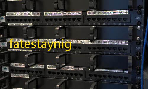 暗区突围科技网站fatestaynight汉化版